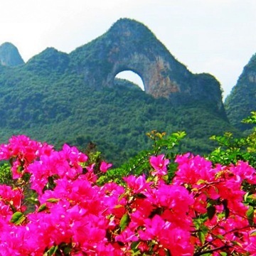 【旅行社批发团购桂林旅游线路大漓江+十里画廊+世外桃源跟团一日游】价格,厂家,图片,其他旅游服务,桂林市龙发国际旅行社-