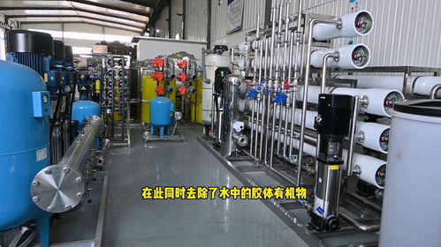 食品厂用反渗透纯水设备,脱盐率高水质达标,使食品品质有保障