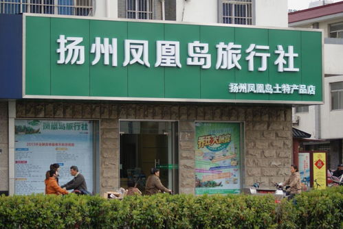 扬州凤凰岛旅行社