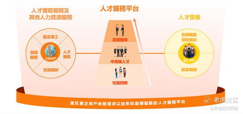 猎聘上半年高速增长,横纵发展彰显长期空间