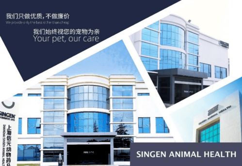 信元发育宝主食猫罐系列上市,给予爱宠全面营养呵护好评度拉满